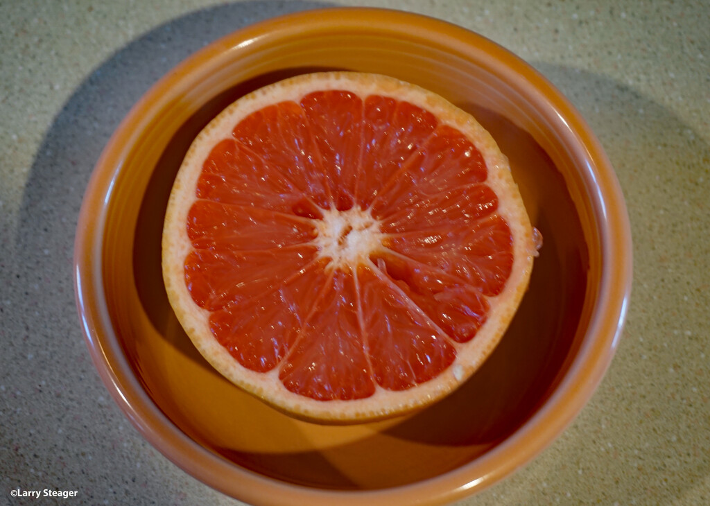 Red Grapefruit by larrysphotos