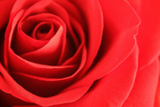 14th Feb 2022 - Happy Valentine's Day
