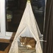 Monty in his teepee  by stuart46