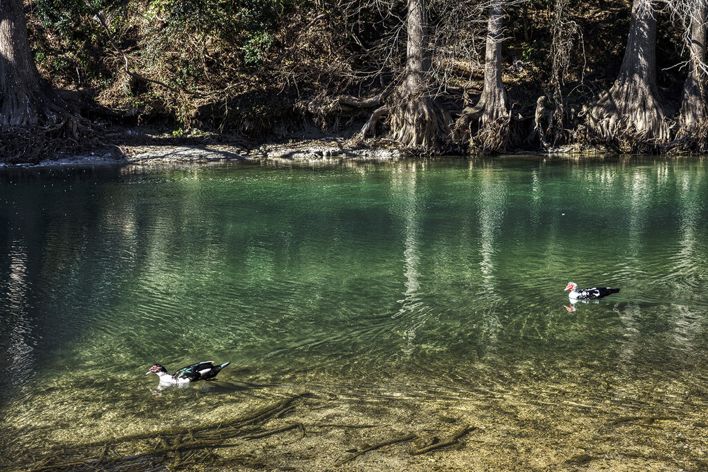 Guadalupe River by k9photo