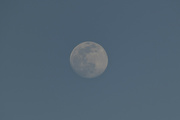 14th Feb 2022 - Day Moon