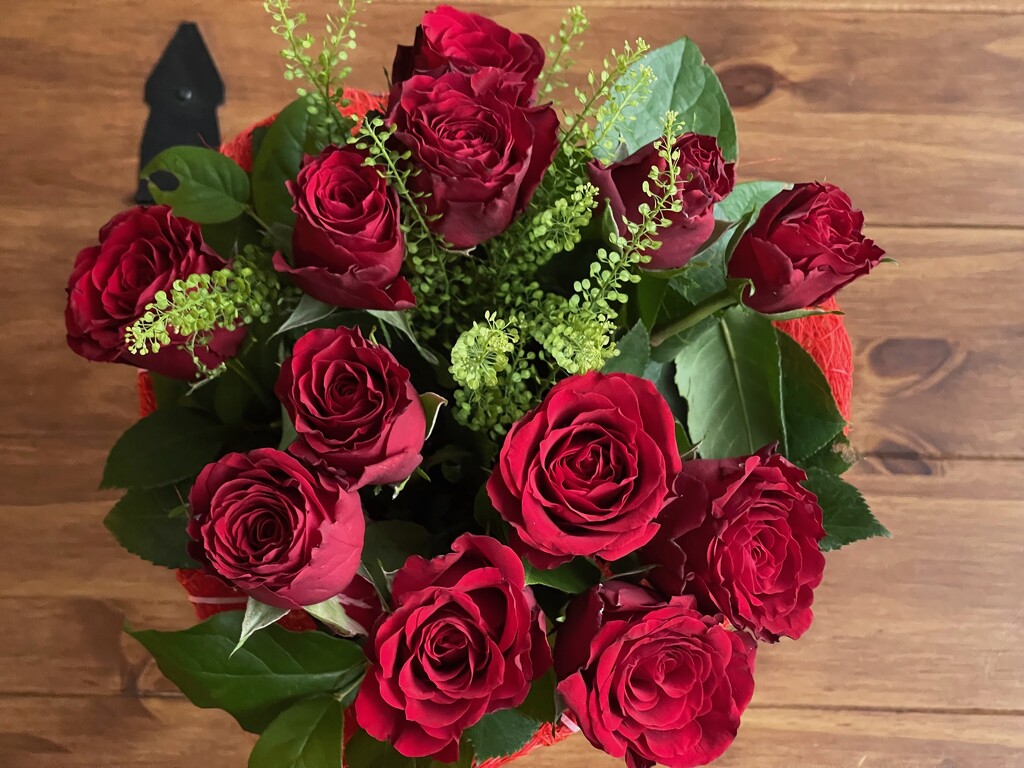Valentine Roses by bizziebeeme