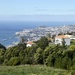 The stunning view over Funchal from the Palheiro Gardens  by orchid99