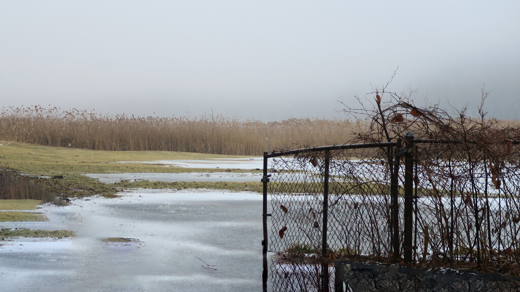 Marsh Lands with Snow & Fog by april16