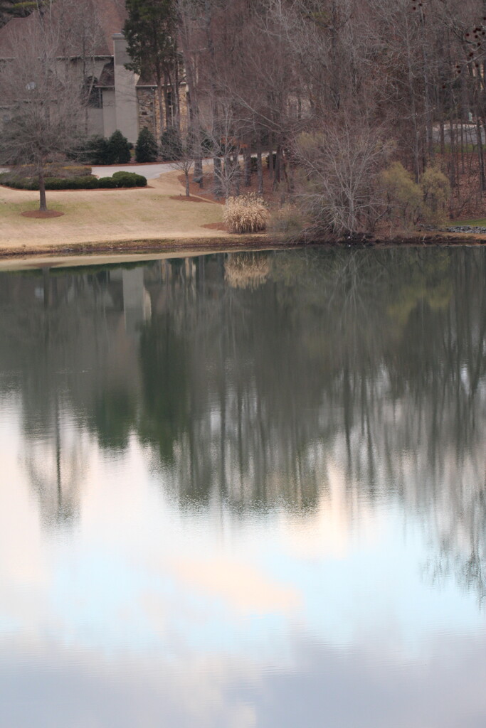 Feb 16 Cloud and tree reflections on pond IMG_5265 by georgegailmcdowellcom