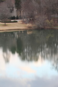 16th Feb 2022 - Feb 16 Cloud and tree reflections on pond IMG_5265