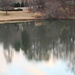 Feb 16 Cloud and tree reflections on pond IMG_5265 by georgegailmcdowellcom