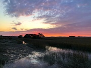 16th Feb 2022 - Marsh sunset