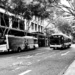 Buses by sugarmuser