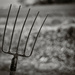 FoR2022: Day 16 - Fork and Bokeh by vignouse