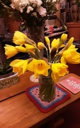 16th Feb 2022 - A jam jar of opening daffodil buds.