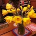 A jam jar of opening daffodil buds. by grace55