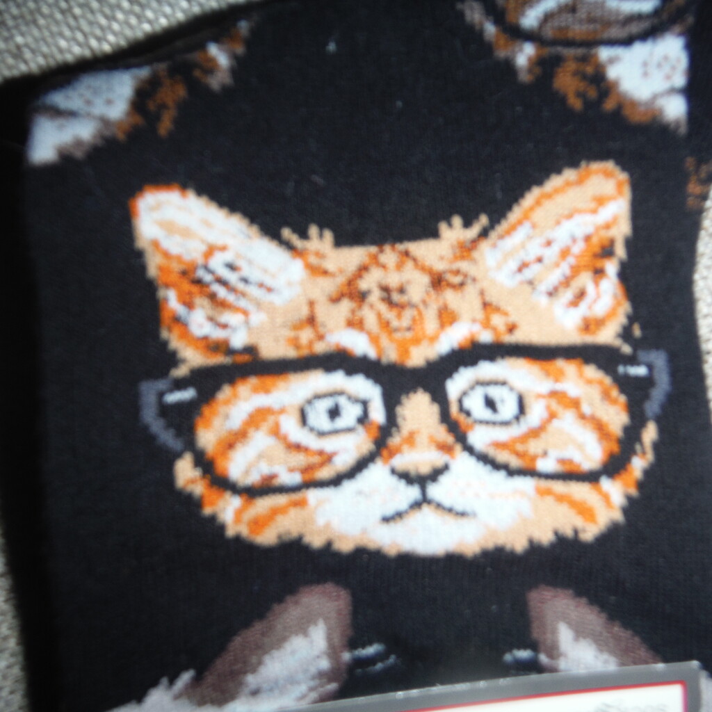 Glasses #5: On a Cat by spanishliz