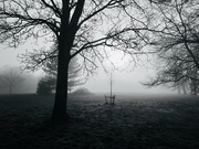 30th Mar 2021 - Misty morning local park