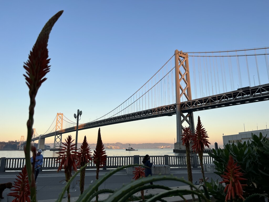 San Francisco Bay bridge sunset  by cawu