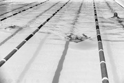 17th Feb 2022 - Swimming Lanes