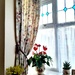 New curtains  by beryl