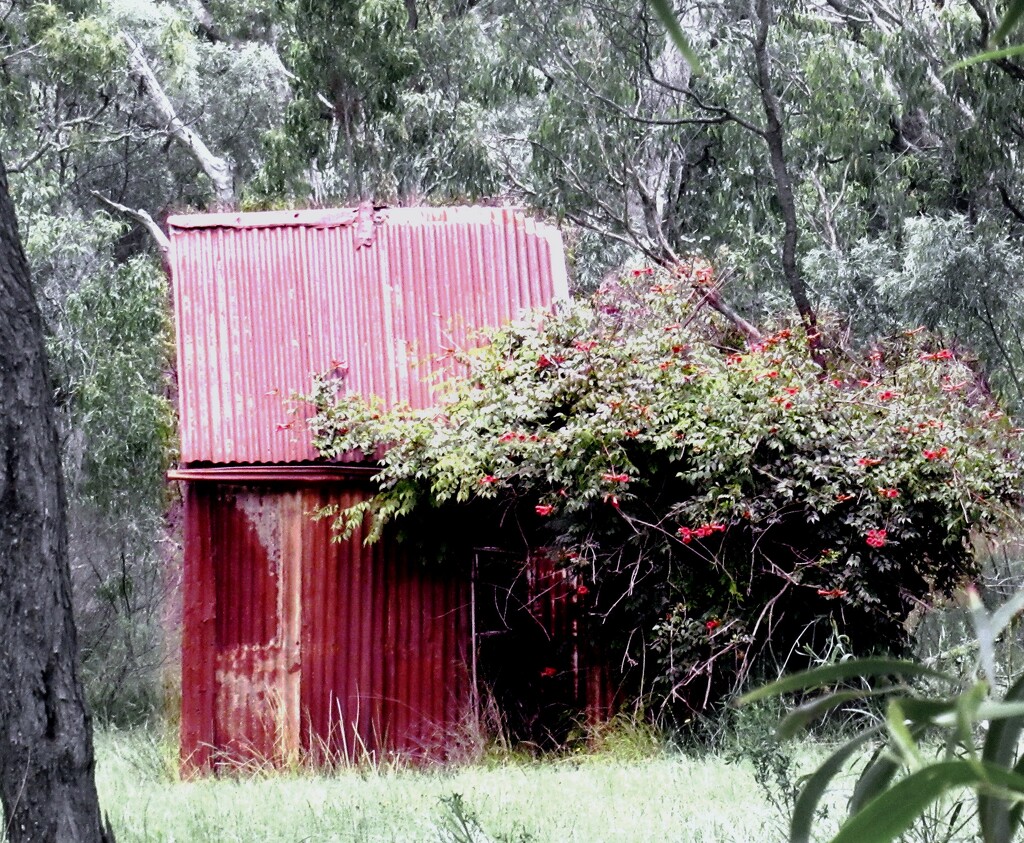 Tin miner's shed? by robz