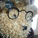 Glasses #7: On a Bear by spanishliz