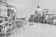 19th Feb 2022 - Dear Venice it's been a while...