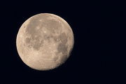 18th Feb 2022 - Setting Moon