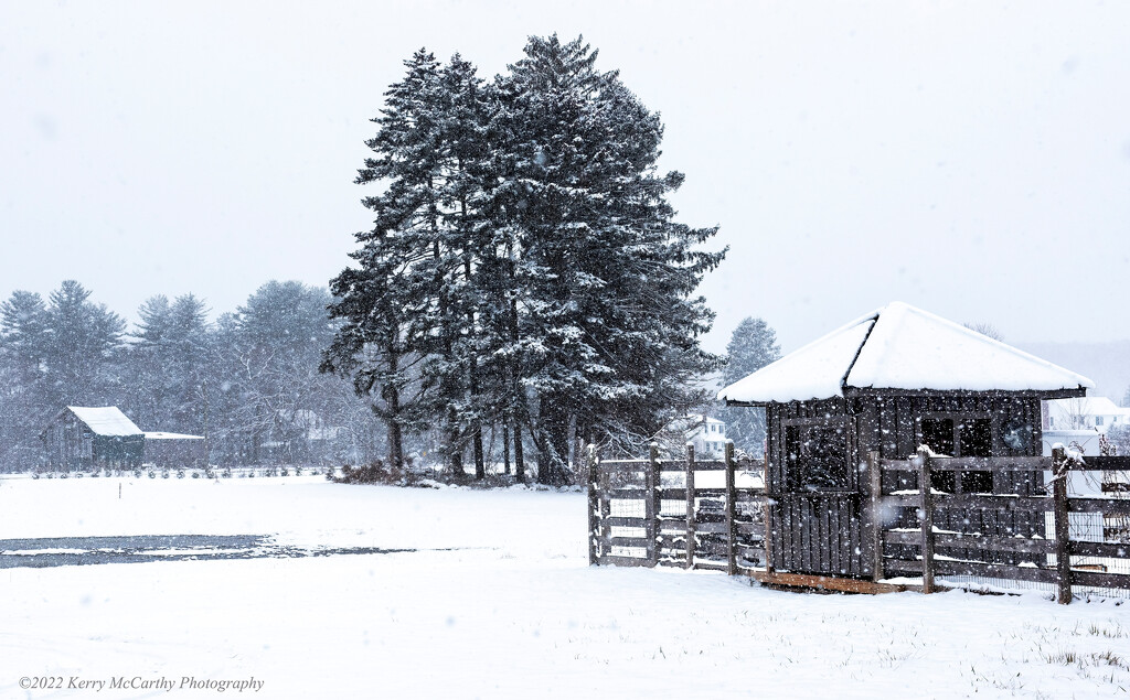 Country snow by mccarth1