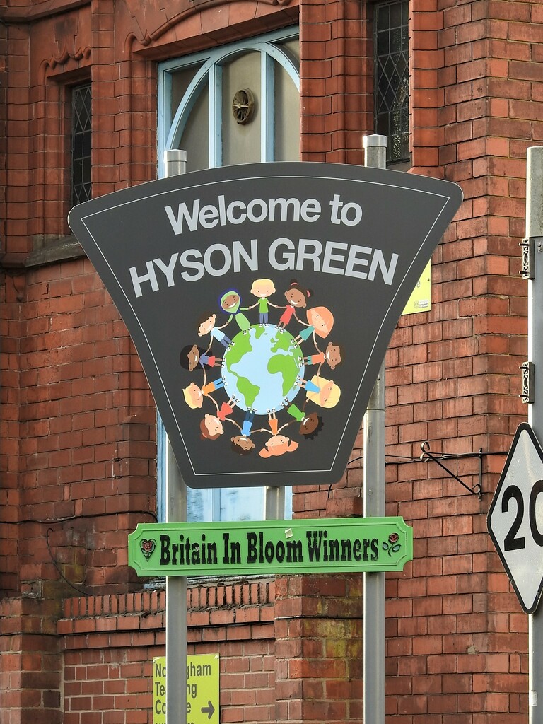 Hyson Green  by oldjosh