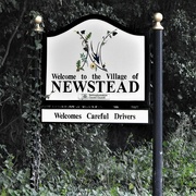 8th Feb 2022 - Newstead