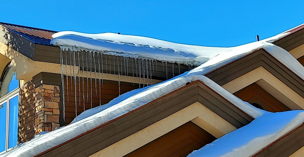 Icicles  by harbie