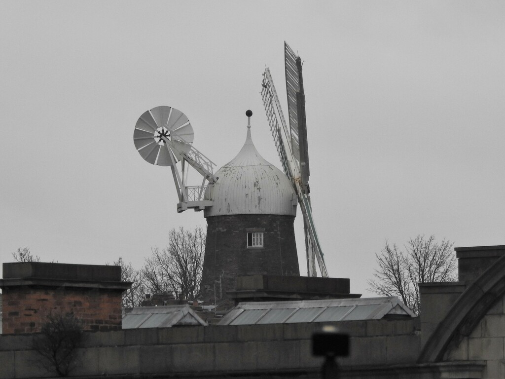 Greens Windmill by oldjosh