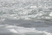 17th Feb 2022 - Icy lake