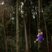 Tree Swing by tina_mac