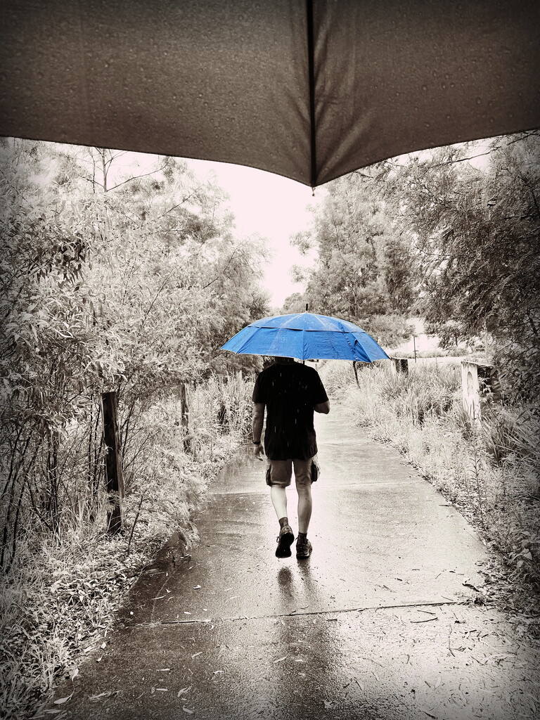 Even In The Rain We Walk by mazoo