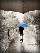4th Feb 2022 - Even In The Rain We Walk