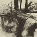 Logging by eleanor
