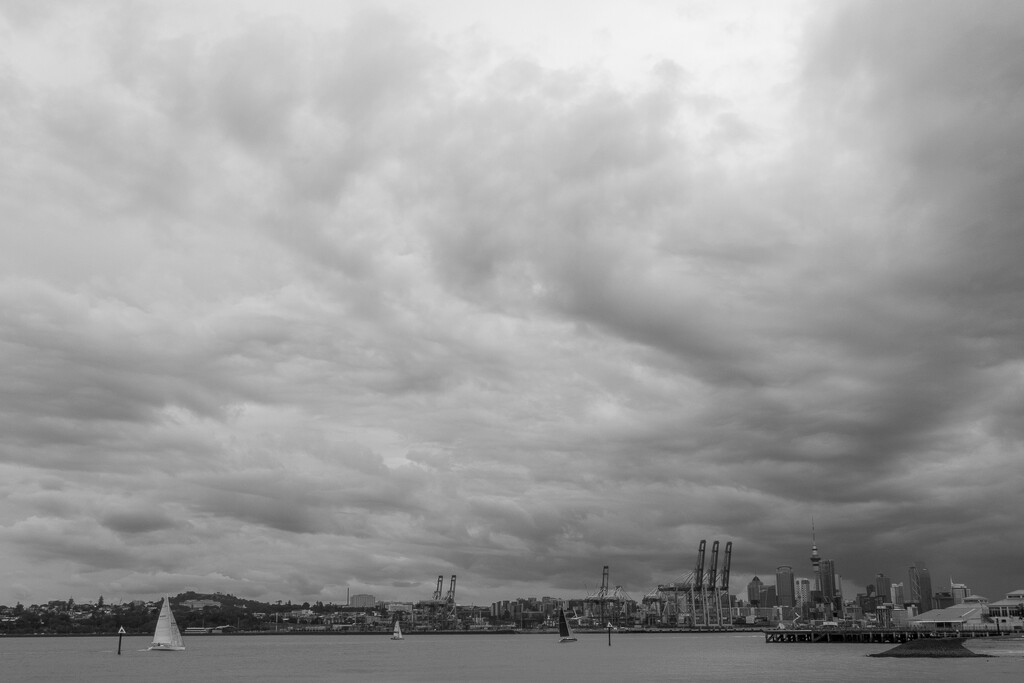 Bleak day in Auckland by creative_shots