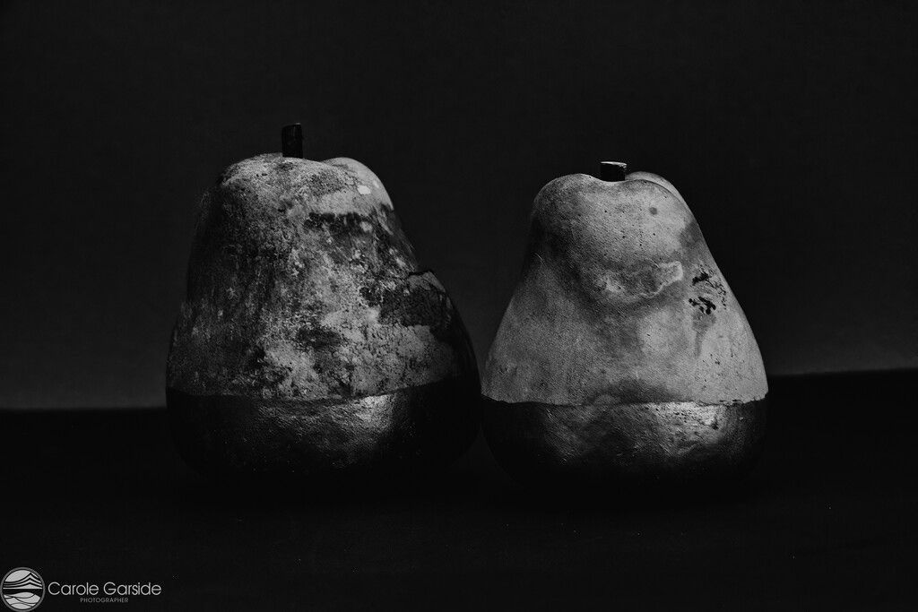 Pair of Pears by yorkshirekiwi