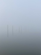 20th Feb 2022 - Piers in fog