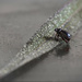 Playing with dof by suez1e