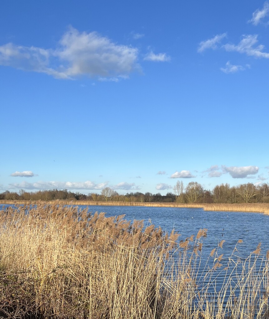 Stanwick lakes by anne2013