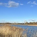 Stanwick lakes by anne2013