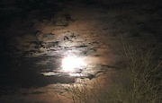 21st Feb 2022 - Moon and clouds