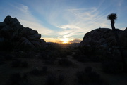 19th Feb 2022 - Sunset at Joshua Tree National Park