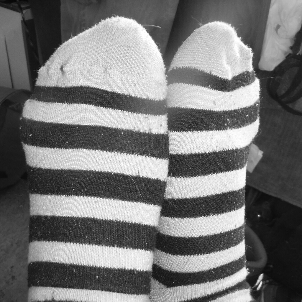 Stripey Socks by spanishliz