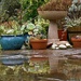 More patio reflections by anitaw