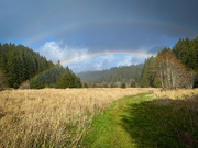 21st Feb 2022 - Trail to the Pot of Gold