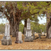 Rock Church Cemetery by lynne5477