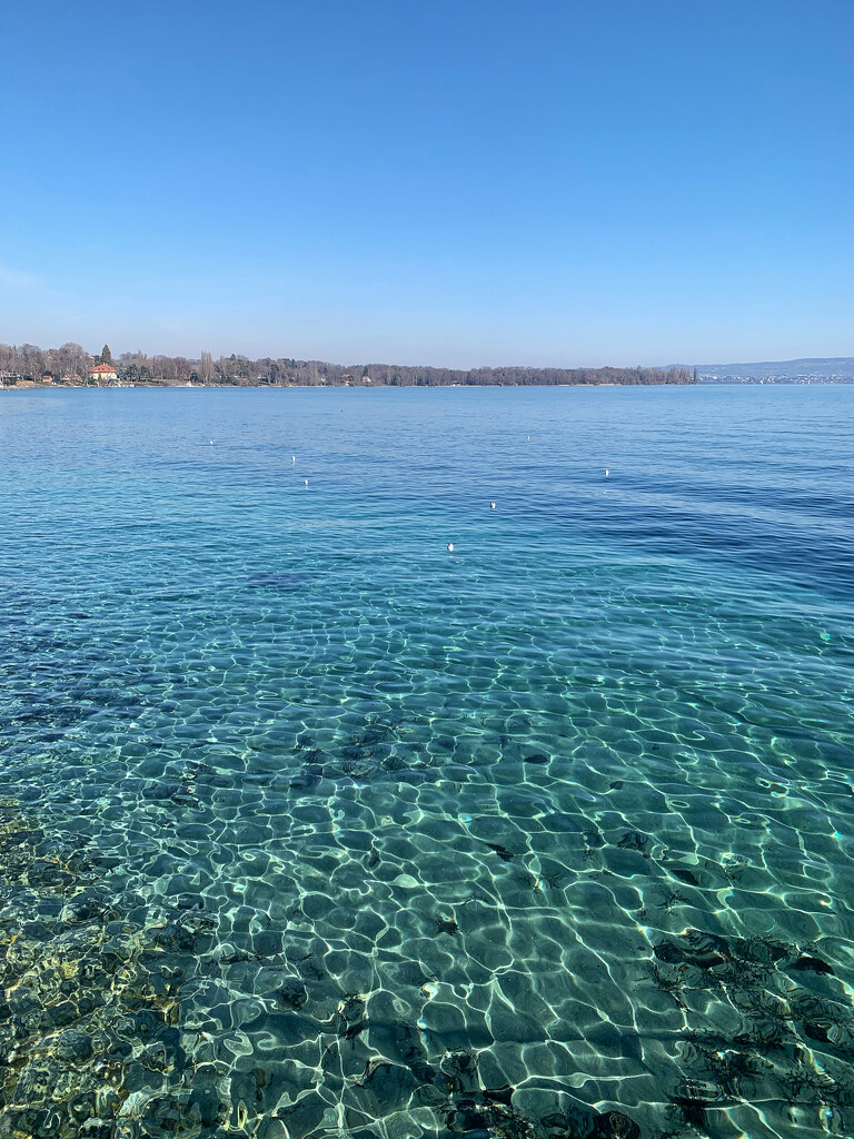 Lac Léman.  by cocobella