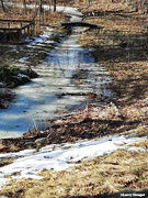 21st Feb 2022 - Frozen creek
