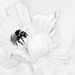 High Key Bumble Bee by yorkshirekiwi